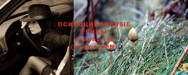 винт Балабаново