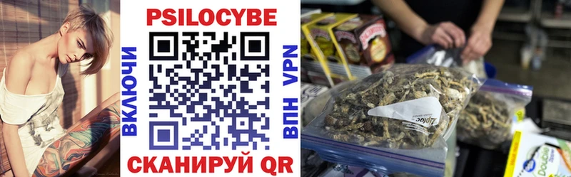 shop телеграм  Магас  Псилоцибиновые грибы Cubensis 
